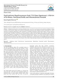 Image result for Englerophytum rwandense