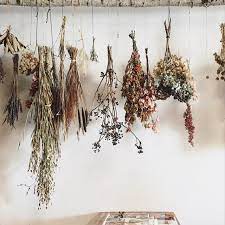 Stems may take a week or more to dry. Vuela Lifestyle Shop On Instagram Feeling Inspired Today At The Vision Board Workshop By Themer Dried Flowers Hanging Herbs Flower Decorations