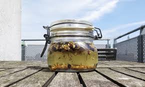 Maybe you would like to learn more about one of these? Bathtub Gin World Gin Day Spirited Matters