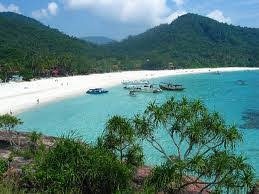 Larut matang (perak) pantai kuala selangor pantai samarahan,sadong (sarawak) delta labuk, sugut (sabah) contoh pokok : Hutan Pantai Sweetslady