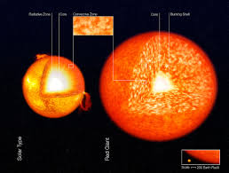 File Structure Of Stars Artists Impression Jpg