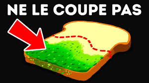 Que Se Passe T Il Si Tu As Mange Du Pain Moisi Par Accident Pause Fun