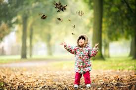 Image result for creative nature