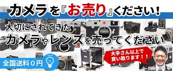 Https Xn Lckxfya8786aztez3jml9f Com