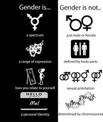 Gender And Sexuality Flashcards Quizlet
