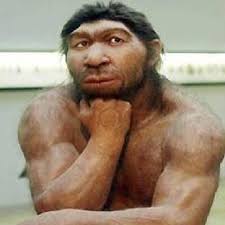 What do you think would have happened to the neanderthals if modern humans hadn't entered the scene? Neandertal Insani On Twitter Cumhurbaskaniadayikimolsun Emile Zola