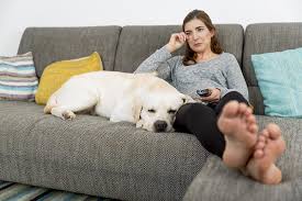 But then, the kind of clingy behavior one sees in the dogs approaching their death is really touching and different. Do Dogs Grieve Other Dogs American Kennel Club