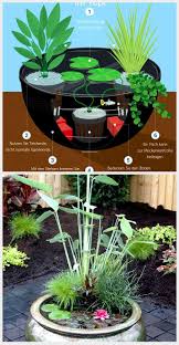 Maybe you would like to learn more about one of these? Make Your Own Balcony Ideas A Mini Pond In A Pot Pinining Ponds For Small Gardens Mini Pond Indoor Water Garden
