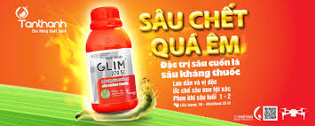 TT Glim 270SC