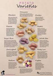 This Is Good For A Fanzine Because It Is Very Informative About The Different Types Of Potatoes It Types Of Potatoes Cooking Basics