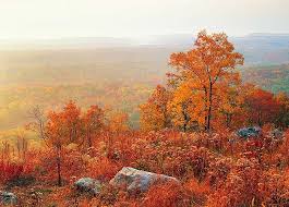 Check spelling or type a new query. The Best Places To See Fall Foliage New York City And Beyond Purewow