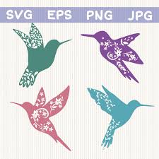 Download Pin On Hummingbird