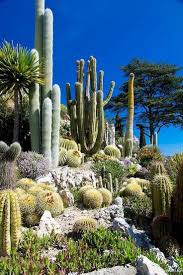 80 Stunning Rock Garden Landscaping Design Ideas Design Garden Gardenlandscaping Ideas Kakteen Garten Kaktusgarten Pflanzen