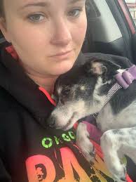 Loss of pet dog Hazel due to fireworks trauma