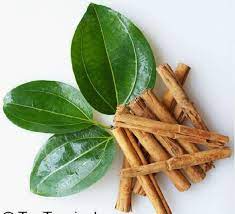 Dalchini is a spice obtained from the inner bark of several trees from the genus cinnamomum that is used in medicinal usage. Medicinal Uses Of Dalchini Cinnamon
