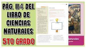 Catálogo de libros de educación básica. Pag 114 Del Libro De Ciencias Naturales Quinto Grado Youtube