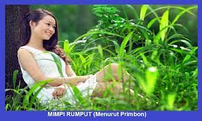 Mimpi mengikuti binatang liar : Mimpi Rumput Menurut Primbon Pertanda Mimpi