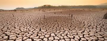 El calentamiento global es el fenómeno del aumento de la temperatura media global, de la atmósfera terrestre y de los océanos, que posiblemente alcanzó el nivel de. Impactos Del Cambio Climatico