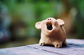 Image result for pig yawn images