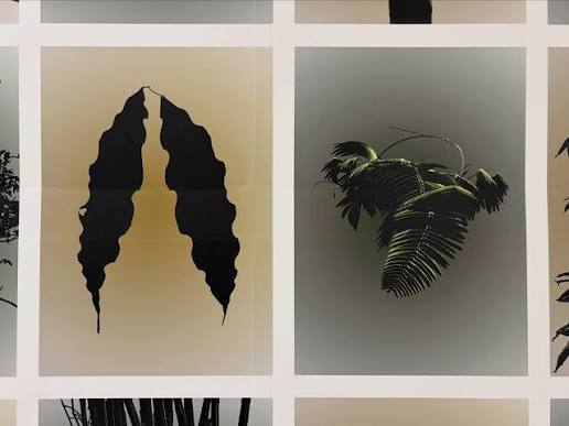 Marvin Tang @marvin.tang Caldecott MRT Station something in between “As I leaned against the window of a packed morning train, I caught traces of the forest blurring at the edge of my