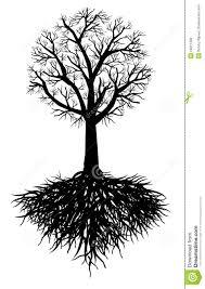 Oak tree clip art tree with roots clipart oak tree clipart black and white. Oak Tree With Roots Silhouette Shefalitayal