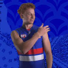 Check spelling or type a new query. Aussie Rules Football Dogs Gif By Western Bulldogs Find Share On Giphy