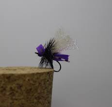 The Caddis Fly: Oregon Fly Fishing Blog | McKenzie River fly fishing, Oregon  fly fishing reports and fly tying videos. | Page 12