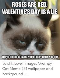 Please contact us if you want to publish a cat meme wallpaper on our site. 25 Best Memes About Show Me Pictures Of Grumpy Cat Meme Show Me Pictures Of Grumpy Cat Memes