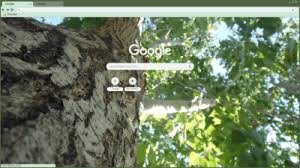 Don't confuse chrome's minimalist design approach as being a simple browser. Tree Bark Chrome Themes Themebeta
