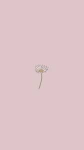 Aesthetic Cute Wallpapers Simple 564x1002 Download Hd Wallpaper Wallpapertip Free download collection of aesthetic wallpapers for your desktop and mobile. aesthetic cute wallpapers simple
