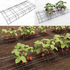 Support Fraisier Et Courgette 70cm Tuteur Tomate Trucs Et Astuces Jardinage Astuce Jardinage