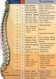 Zoom Sur Les Symptomes Lies Aux Maux De Dos Selon Les Vertebres Touches Avec Images Sante Sante Medecine Massotherapie