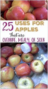 25 Uses For Apples That Are Mealy Bruised Sour Or Just Extras Stowandtellu Com Apple Recipes Apple Bruises