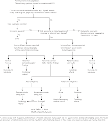 palpitations evaluation in the primary care setting