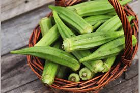 We did not find results for: How To Harvest And Store Okra