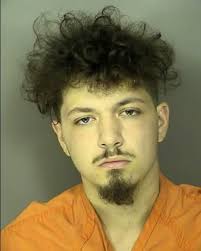 WAIN, CHRISTIAN AARON- DOMESTIC VIOLENCE 1ST DEGREE