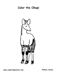 2 backers limited (498 left of 500) shipping destination Okapi Coloring Page