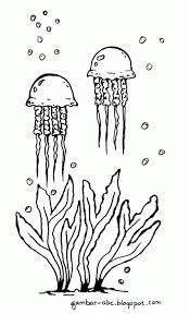 Sangat mudah sekali proses dalam menggambar ikan hiu. Mewarnai Gambar Ubur Ubur Contoh Gambar Mewarnai Gambar Flora Dan Fauna Gambar Hewan Sketsa
