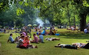 The band is named after the public park of the same name. Vondelpark Park Forest Park City Children Park