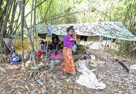 Taman negara kuala koh 2 kelantan gold mine visit at ulur sokor, tanah merah 2015 taman negara kuala koh 4 mancing ikan semah besar besar di hutan lindung. Kuala Koh S Orang Asli Community Worries About Mysterious Disease Borneo Post Online