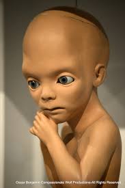 Discussion of the Movie 2001: A Space Odyssey