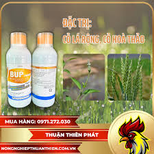 Bup 700OD