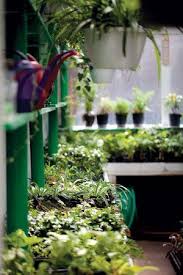 St Louis Magazine Garden Varieties Bayer S Garden Shop Garden Shop Diy Garden Garden