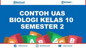 Maybe you would like to learn more about one of these? Contoh Soal Uas Biologi Kelas 10 Semester 2 Tahun 2021 Dan Kunci Jawaban Pilihan Ganda Dan Esai Tribun Sumsel