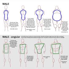 See more ideas about anatomy drawing, figure drawing, anatomy reference. Man Body Reference Drawing Images Cinema Condos Fashion