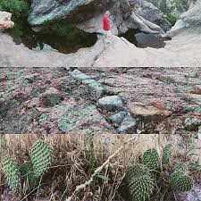 We've arranged the list in alphabetical order, but you should keep in mind that in some cases there might be other names to go by. Hiking Horsetooth Falls Mollie S Review