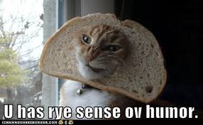 Do not claim others' content as your own. Lolcats Bread Lol At Funny Cat Memes Funny Cat Pictures With Words On Them Lol Cat Memes Funny Cats Funny Cat Pictures With Words On
