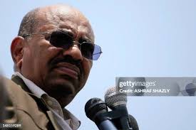 13 White Nile Sugar Stock Photos, High-Res Pictures, and Images