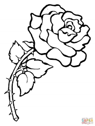 You may also furnish details as your child gets engrossed. Images Of Drawings Of Roses With Banners