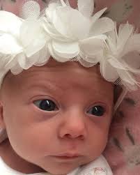 The Hummingbird Bakery